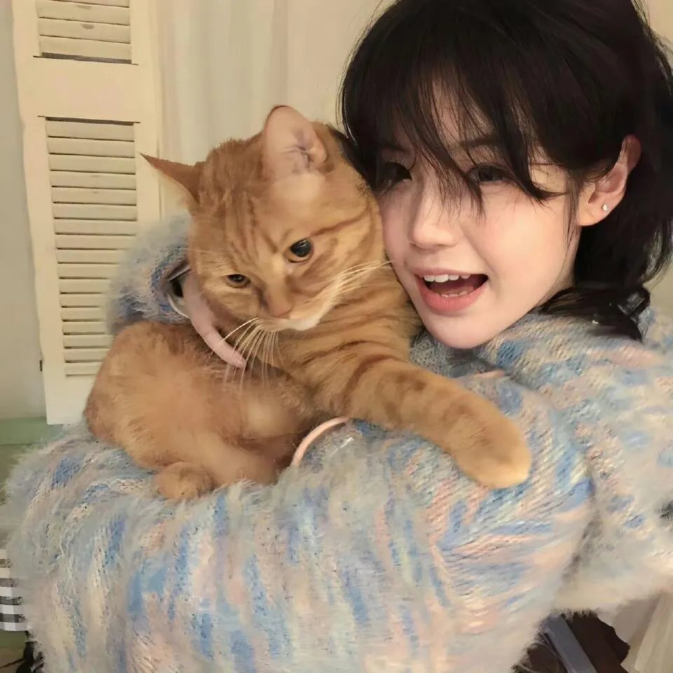 猎狐行动